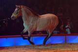 d191225-193133-280-100-circus_krone-hereinspaziert-manege_frei-premiere