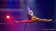 d191225-213332-920-100-circus_krone-hereinspaziert-manege_frei-premiere