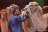 Circus Krone Winterprogramm 2022/23  - Stars in der Manege
