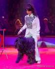 Circus Krone Winterprogramm 2022/23  - Stars in der Manege