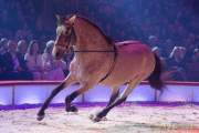 Circus Krone Winterprogramm 2022/23  - Stars in der Manege