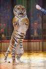 Circus Krone Winterprogramm 2022/23  - Stars in der Manege