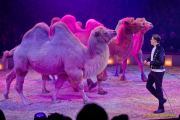 Circus Krone 2025 Premiere von „ICH.DU.WIR.KRONE" -  Show