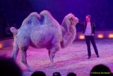 Circus Krone 2025 Premiere von „ICH.DU.WIR.KRONE" -  Show