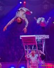 Circus Krone 2025 Premiere von „ICH.DU.WIR.KRONE" -  Show
