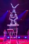 Circus Krone 2025 Premiere von „ICH.DU.WIR.KRONE" -  Show