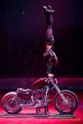 Circus Krone 2025 Premiere von „ICH.DU.WIR.KRONE" -  Show