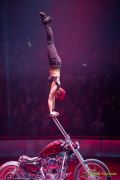 Circus Krone 2025 Premiere von „ICH.DU.WIR.KRONE" -  Show
