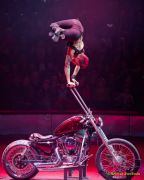 Circus Krone 2025 Premiere von „ICH.DU.WIR.KRONE" -  Show