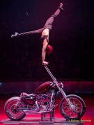 Circus Krone 2025 Premiere von „ICH.DU.WIR.KRONE" -  Show