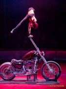 Circus Krone 2025 Premiere von „ICH.DU.WIR.KRONE" -  Show