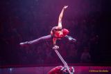 Circus Krone 2025 Premiere von „ICH.DU.WIR.KRONE" -  Show