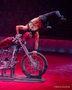Circus Krone 2025 Premiere von „ICH.DU.WIR.KRONE" -  Show