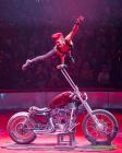 Circus Krone 2025 Premiere von „ICH.DU.WIR.KRONE" -  Show