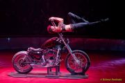 Circus Krone 2025 Premiere von „ICH.DU.WIR.KRONE" -  Show