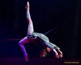 Circus Krone 2025 Premiere von „ICH.DU.WIR.KRONE" -  Show