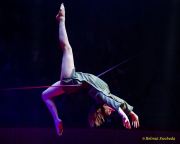 Circus Krone 2025 Premiere von „ICH.DU.WIR.KRONE" -  Show