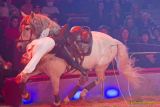 Circus Krone 2025 Premiere von „ICH.DU.WIR.KRONE" -  Show