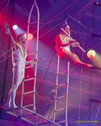 Circus Krone 2025 Premiere von „ICH.DU.WIR.KRONE" -  Show
