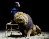 Circus Krone 2025 Premiere von „ICH.DU.WIR.KRONE" -  Show