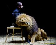 Circus Krone 2025 Premiere von „ICH.DU.WIR.KRONE" -  Show