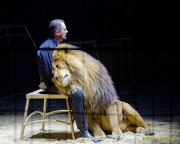 Circus Krone 2025 Premiere von „ICH.DU.WIR.KRONE" -  Show