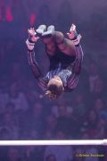 Circus Krone 2025 Premiere von „ICH.DU.WIR.KRONE" -  Show