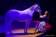 Circus Krone 2025 Premiere von „ICH.DU.WIR.KRONE" -  Show