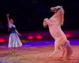 Circus Krone 2025 Premiere von „ICH.DU.WIR.KRONE" -  Show