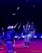 Circus Krone 2025 Premiere von „ICH.DU.WIR.KRONE" -  Show