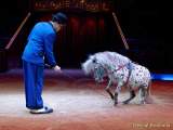 d160224-10145910-100-cirkus_krone-3-winterprogramm-pk