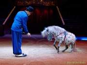 d160224-10145910-100-cirkus_krone-3-winterprogramm-pk