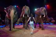 d160301-20273590-100-cirkus_krone-3-winterprogramm