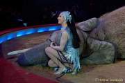 d160301-20321890-100-cirkus_krone-3-winterprogramm