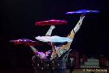 d160301-20442900-100-cirkus_krone-3-winterprogramm