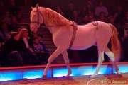d160301-21035760-100-cirkus_krone-3-winterprogramm