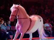 d160301-21041090-100-cirkus_krone-3-winterprogramm
