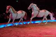 d160301-21071230-100-cirkus_krone-3-winterprogramm