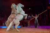 d160301-21084490-100-cirkus_krone-3-winterprogramm