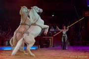 d160301-21084490-100-cirkus_krone-3-winterprogramm