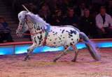 d160301-21114990-100-cirkus_krone-3-winterprogramm