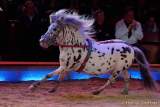 d160301-21161520-100-cirkus_krone-3-winterprogramm