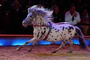 d160301-21161520-100-cirkus_krone-3-winterprogramm
