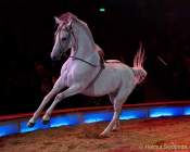 d160301-21074530-100-cirkus_krone-3-winterprogramm