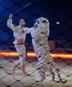 d190404-230158-320-100-circus_krone-mandana-premiere