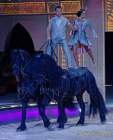 d190321-111839-710-100-circus_krone-mandana-pk