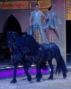 d190321-111839-710-100-circus_krone-mandana-pk