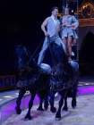 d190321-111903-030-100-circus_krone-mandana-pk