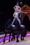 d190321-111916-370-100-circus_krone-mandana-pk