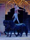 d190321-111927-710-100-circus_krone-mandana-pk